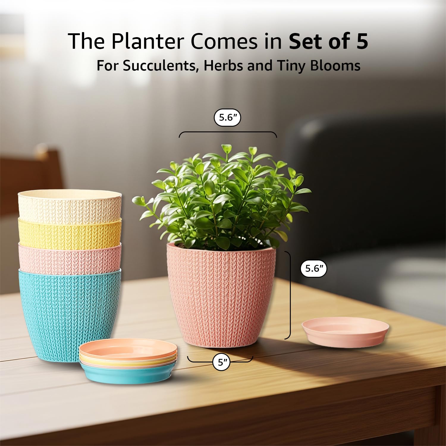 Indoor and Outdoor Round 5 Inch/12.9cm Flower Planter Pot Best for Terrace/Balcony/Home/Office Décor - Set of 5